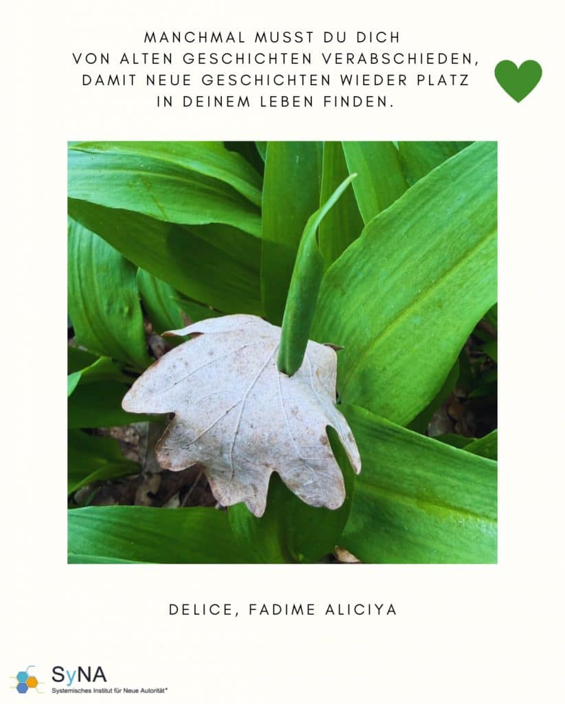 b9d945e2 94d2 4f2e a2bf 9fa4f750d7fc